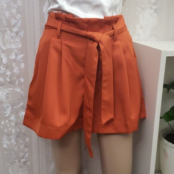 Ann Taylor Belted Shorts   - Picture 1 of 5